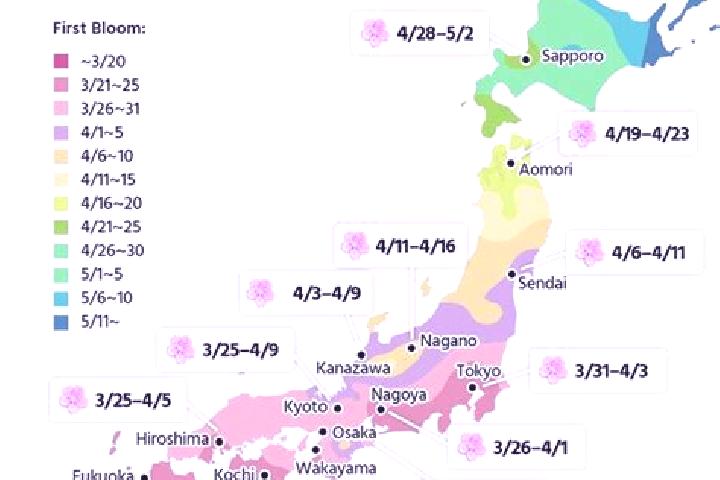 Ariana, 22 — Escort in Muramatsu, Japan