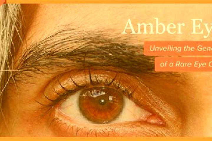 Ariana, 23, a red amber-eyed caribbean companion based in Donzere. Offering Fetish, Massage, 69, Striptease. Available for incall and outcall, overnight book...