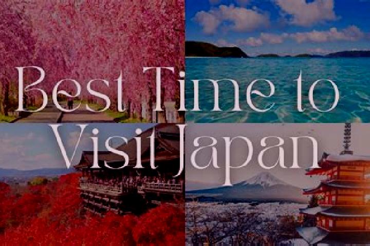 Ariana, 23 — Escort in Yamaguma, Japan