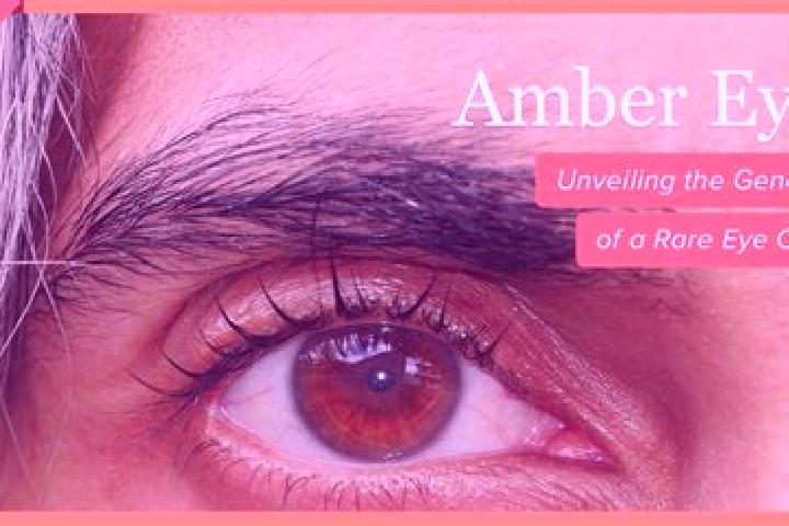Ariana, 24, a black amber-eyed slavic companion based in Dieburg. Offering Party Girl, Erotic Massage, OWO, Travel Companion. Available for incall and outcal...