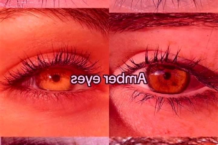 Ariana, 24, a chestnut amber-eyed indian companion based in Zaleszany. Offering Duos, CIM, Domination, GFE. Available for incall and outcall, overnight booki...