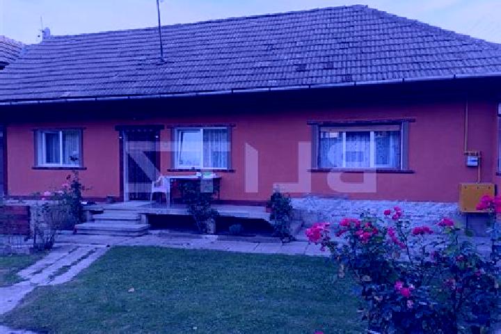 Ariana, 24 — Escort in Cuciulata, Romania
