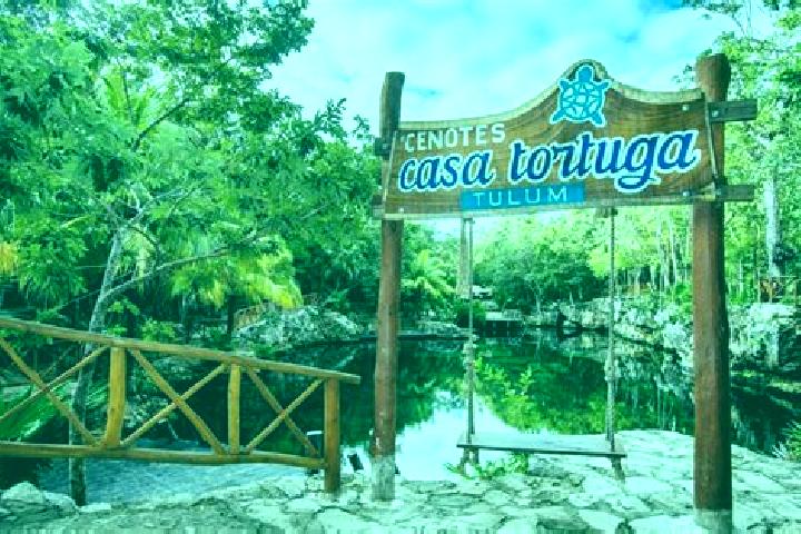 Ariana, 24 — Escort in La Tortuga, Mexico