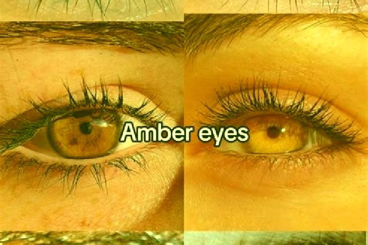Ariana, 26, a chestnut amber-eyed indian companion based in Dikson. Offering Roleplay, A-Level, OWO. Available for incall and outcall, overnight bookings ava...