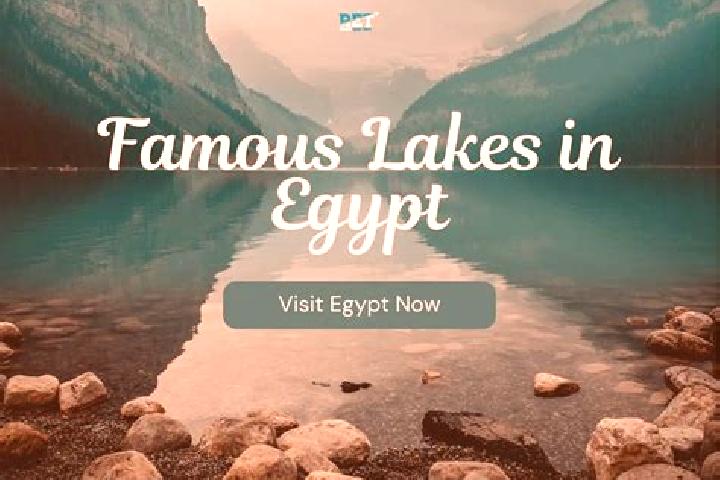Ariana, 26 — Escort in Fuwwah, Egypt