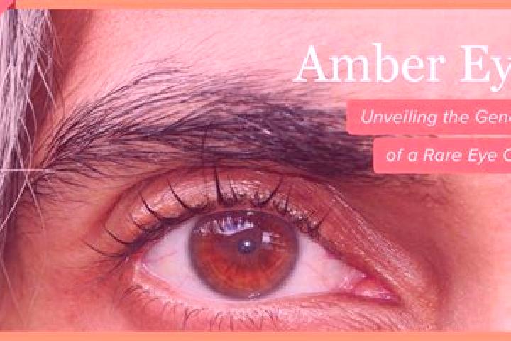 Ariana, 27, a red amber-eyed latina companion based in Riangkoli. Offering Girlfriend Experience, Fetish, Erotic Massage, Massage. Available for incall and o...