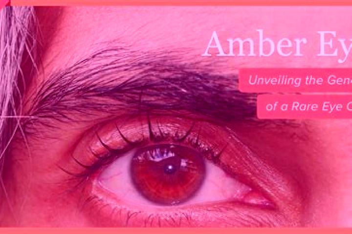 Ariana, 28, a red amber-eyed european companion based in Nea Artaki. Offering Fetish, Erotic Massage, Striptease. Available for incall and outcall, day and e...