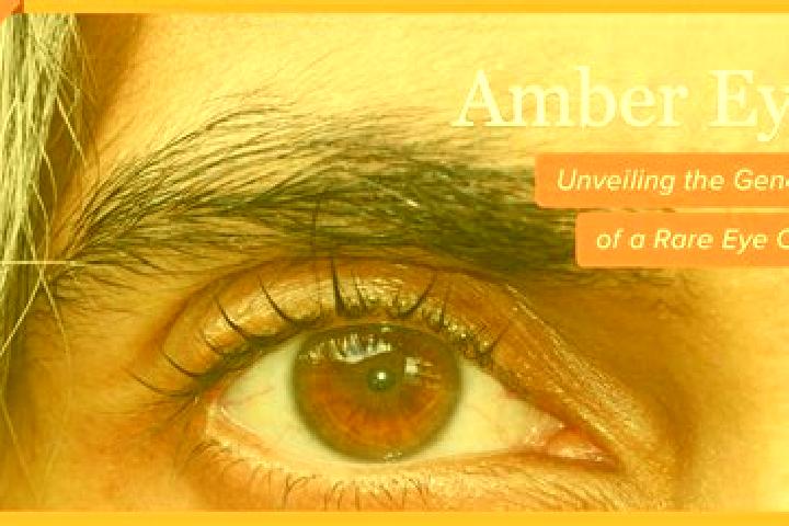 Ariana, 29, a red amber-eyed caribbean companion based in Shohimardon. Offering Deep French Kissing, Party Girl, Travel Companion. Available for incall and o...