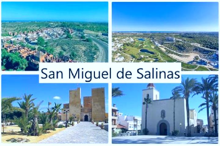 Ariana, 29 — Escort in San Miguel de Salinas, Spain
