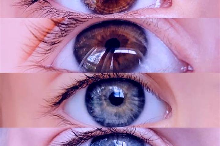 Ariana, 31, a chestnut grey-eyed middle eastern companion based in Wanzenoed. Offering Couples, CIM, Tantra, GFE. Available for incall and outcall, overnight...
