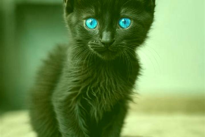 Ariana, 32, a black blue-eyed mediterranean companion based in Linakuela. Offering Massage, BDSM, Travel Companion, OWO, Striptease. Available for incall and...