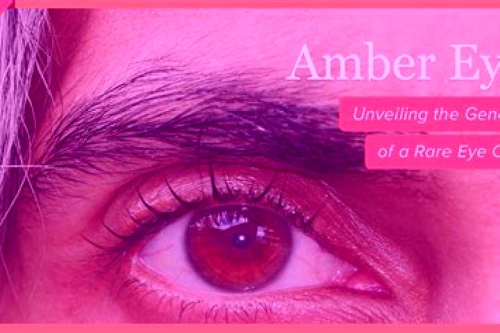 Ariana, 34, a black amber-eyed caribbean companion based in Ich. Offering OWO, CIM, A-Level, Girlfriend Experience. Available for incall and outcall, day and...
