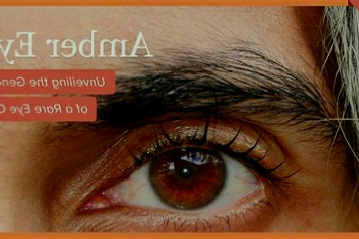 Ariana, 34, a red amber-eyed mixed companion based in Salsadella. Offering Girlfriend Experience, GFE, Duos, Striptease. Available for incall and outcall, ov...