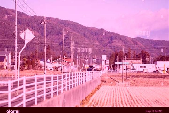 Ariana, 34 — Escort in Komagane, Japan