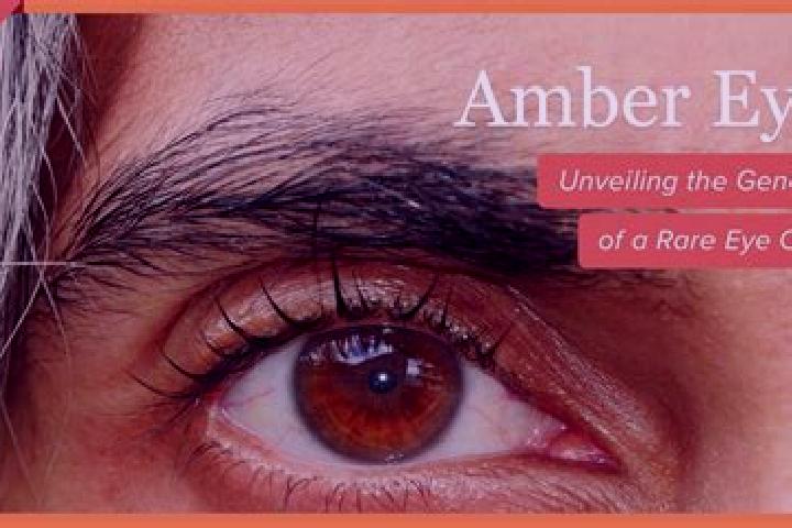 Ariana, 35, a black amber-eyed mixed companion based in Ahmed Bel Hadj. Offering Fetish, Duos, Domination. Available for incall and outcall, day and evening ...