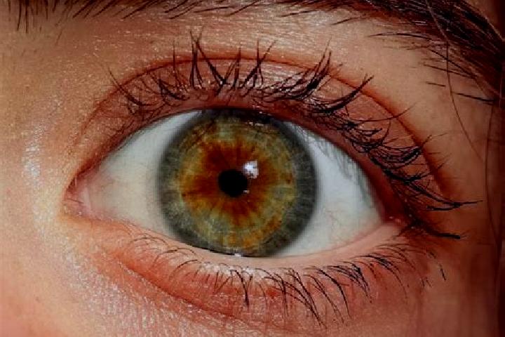 Ariana, 36, a red hazel-eyed european companion based in Plalar. Offering Massage, OWO, CIM, Duos. Available for incall and outcall, overnight bookings avail...