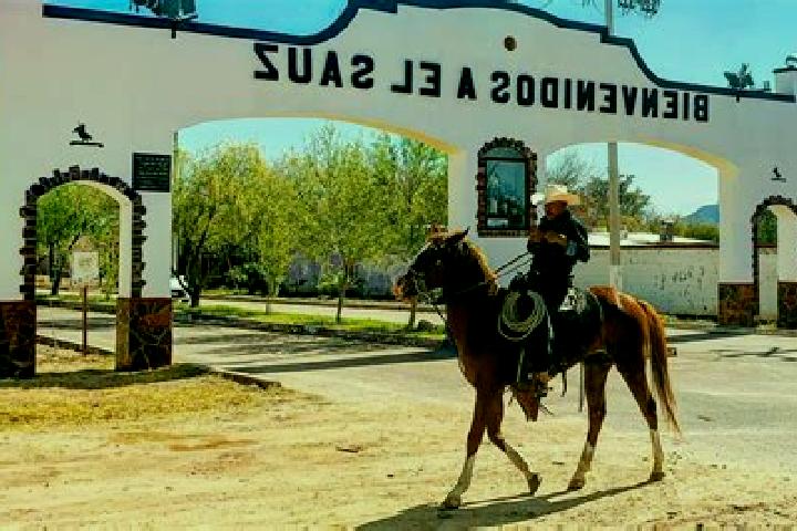 Ariana, 37 — Escort in El Sauz de Cebolletas, Mexico