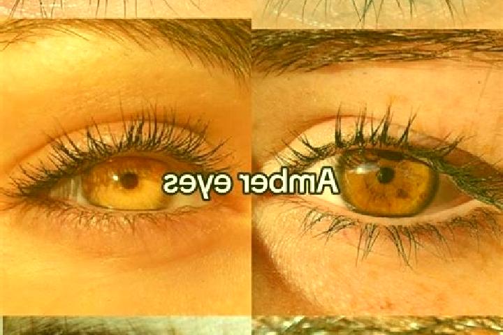 Ariana, 38, a brunette amber-eyed slavic companion based in Savage. Offering Fetish, Dinner Date, 69, Massage. Available for incall and outcall, day and even...
