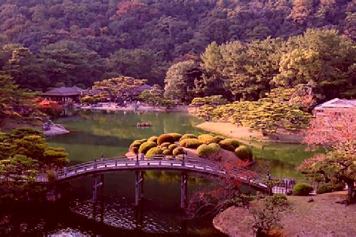 Ariana, 38 — Escort in Setouchi, Japan