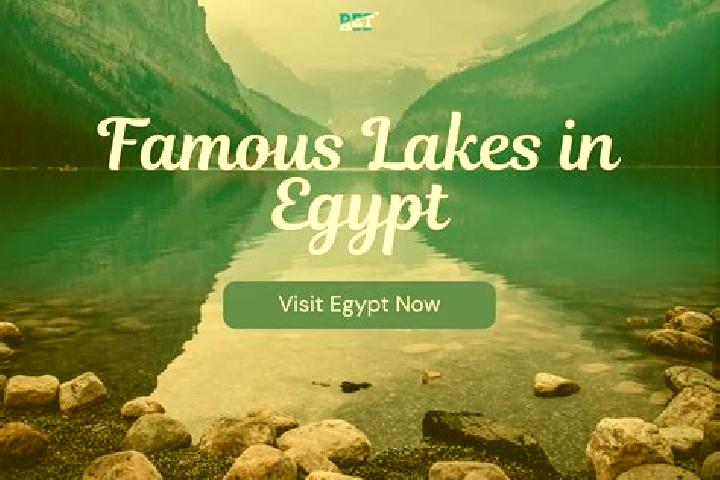 Ariana, 39 — Escort in As Siba iyah, Egypt