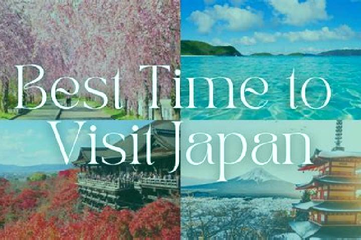 Ariana, 39 — Escort in Iijima, Japan