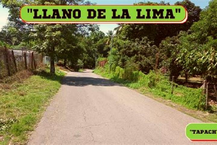 Aubrey, 20 — Escort in Llano de la Lima, Mexico