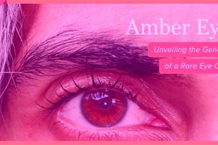 Aubrey, 21, a black amber-eyed caucasian companion based in Montecilfone. Offering Tantra, Overnight. Available for incall and outcall, overnight bookings av...