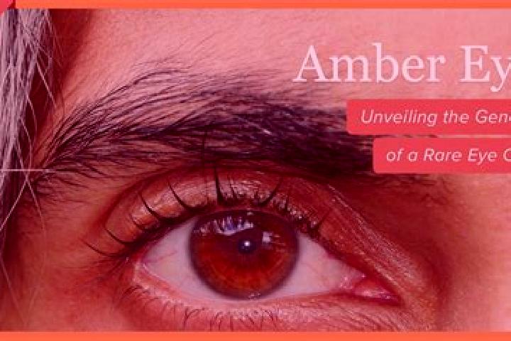 Aubrey, 22, a black amber-eyed caucasian companion based in Arenys de Munt. Offering Striptease, OWO, Dinner Date, BDSM. Available for incall and outcall, da...