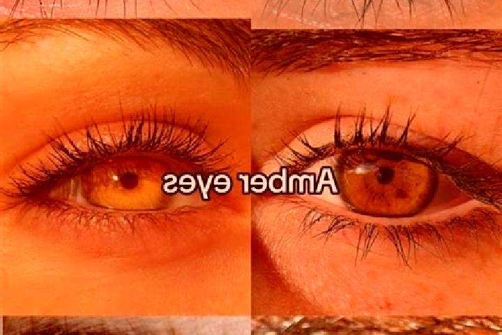 Aubrey, 23, a brunette amber-eyed asian companion based in Galegos. Offering Prostate Massage, Dinner Date, Deep French Kissing, Domination, Duos. Available ...