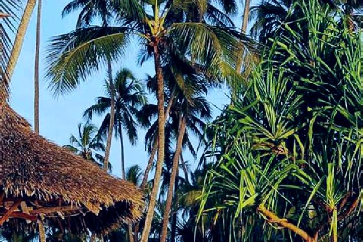 Aubrey, 23 — Escort in Gamba, Tanzania