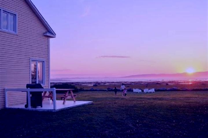 Aubrey, 23 — Escort in Kamouraska, Canada