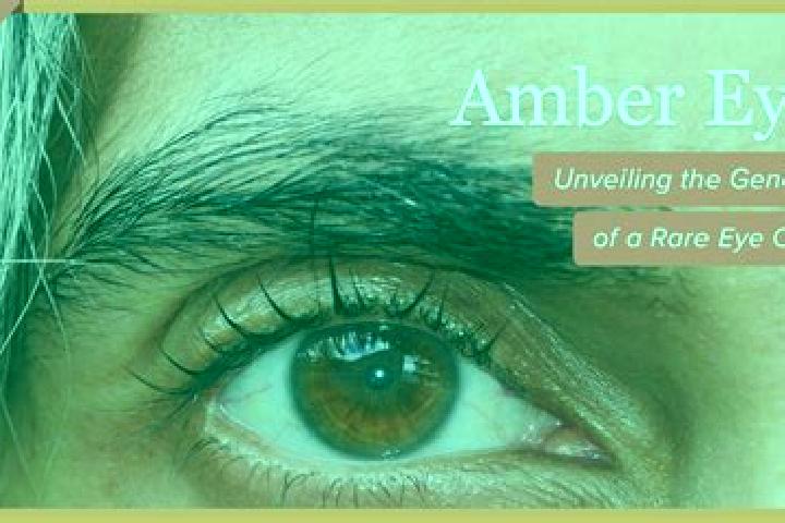 Aubrey, 24, a black amber-eyed ebony companion based in Jiawa Airikecun. Offering Travel Companion, Party Girl, Prostate Massage, Overnight. Available for in...