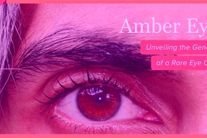 Aubrey, 26, a red amber-eyed slavic companion based in Seyelihouo. Offering Overnight, Tantra, Erotic Massage, Massage. Available for incall and outcall, ove...