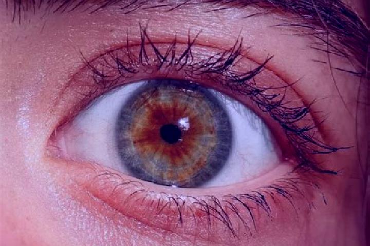 Aubrey, 26, a red hazel-eyed european companion based in Puning. Offering BDSM, Domination, Dinner Date. Available for incall and outcall, day and evening da...