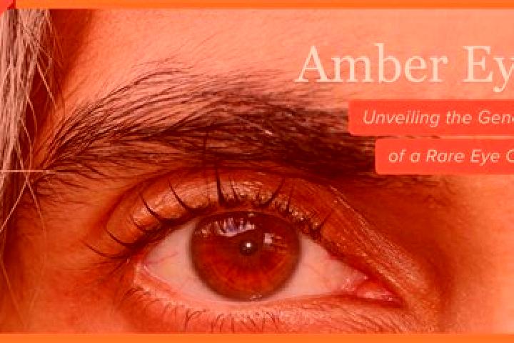 Aubrey, 27, a red amber-eyed caucasian companion based in Tisaleo. Offering Party Girl, Dinner Date, Deep French Kissing, Erotic Massage, Couples. Available ...