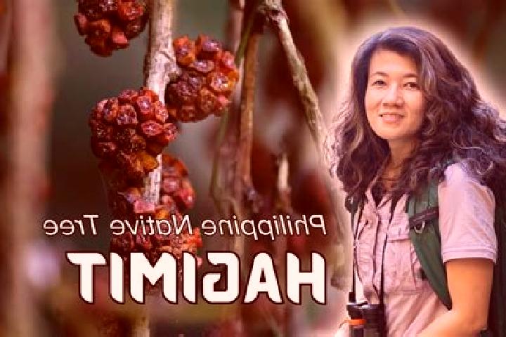 Aubrey, 28 — Escort in Haguimit, Philippines