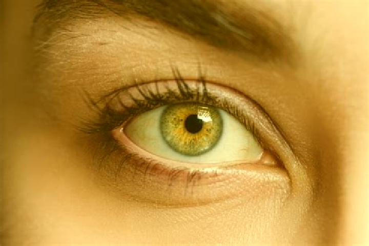 Aubrey, 29, a chestnut hazel-eyed mixed companion based in Alcaucin. Offering BDSM, Domination, Tantra, A-Level, Fetish. Available for incall and outcall, da...