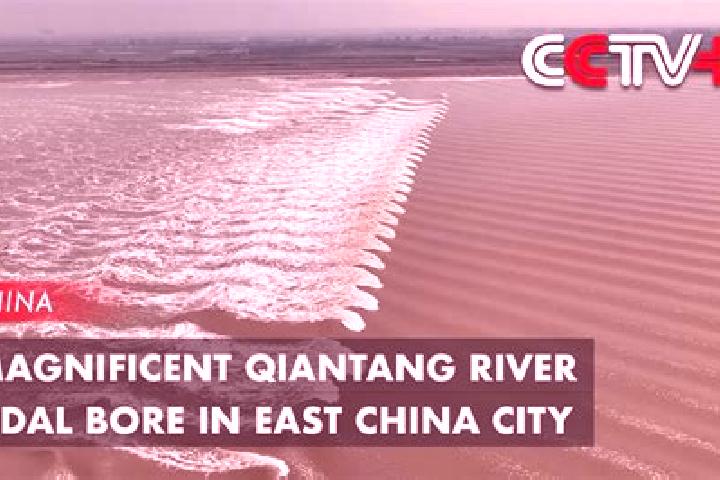 Aubrey, 29 — Escort in Quantang, China