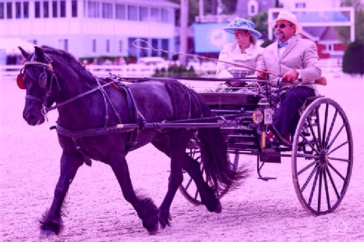 Aubrey, 32, a black dark-eyed european companion based in Carriage Club. Offering OWO, Couples, Domination. Available for incall and outcall, day and evening...