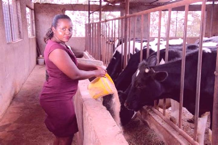 Aubrey, 32 — Escort in South Kinangop, Kenya