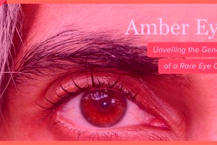 Aubrey, 33, a dark blonde amber-eyed middle eastern companion based in Ambresin. Offering BDSM, Tantra, Fetish, Prostate Massage, Domination. Available for i...