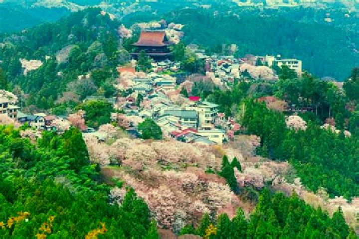 Aubrey, 37 — Escort in Yoshino, Japan