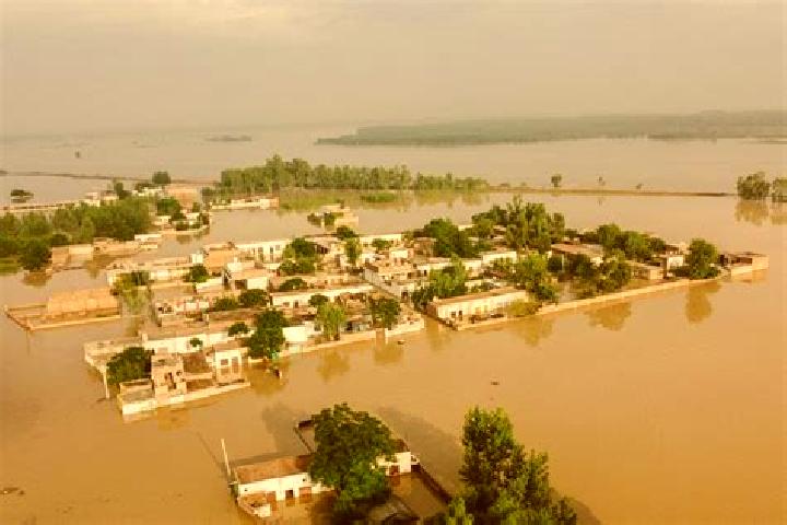 Aubrey, 38 — Escort in Inharrime, Mozambique