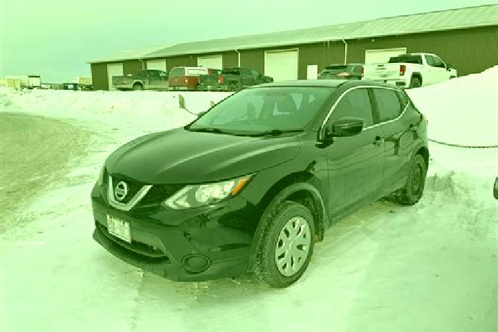 Aurora, 20 — Escort in Ayr, Canada
