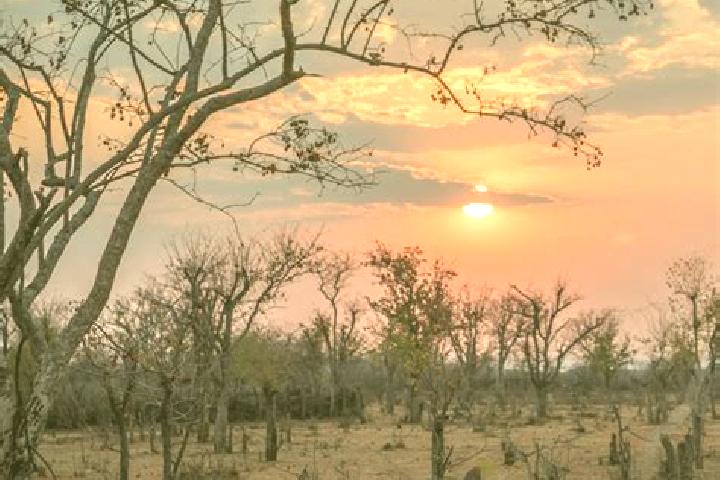 Aurora, 20 — Escort in Cahama, Angola