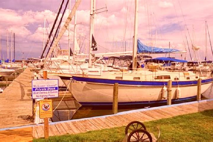 Aurora, 20 — Escort in Port Sanilac, United States