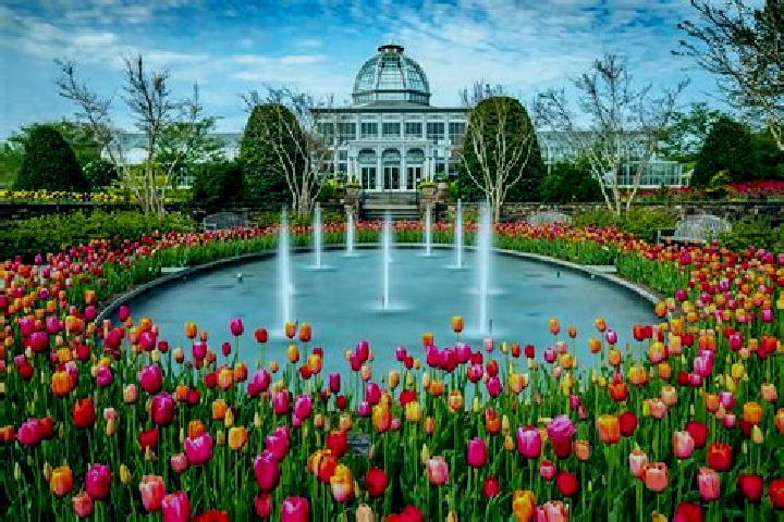 Aurora, 21 — Escort in Boulevard Gardens, United States