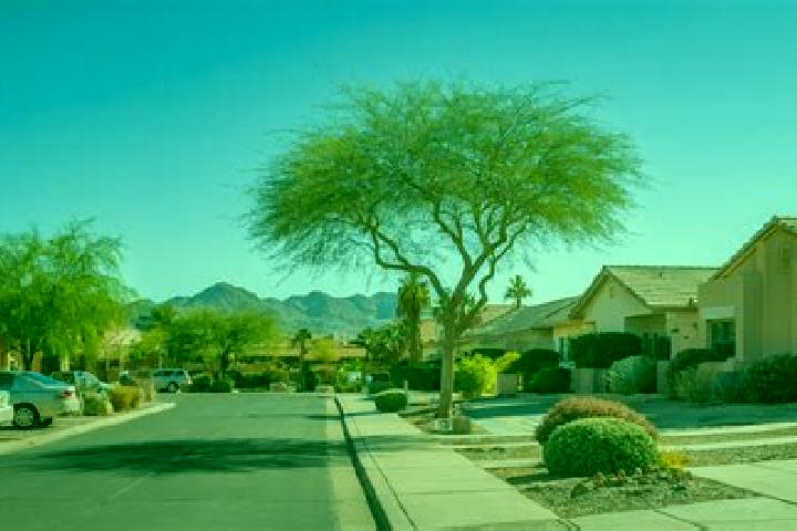 Aurora, 21 — Escort in Sun City Center, United States