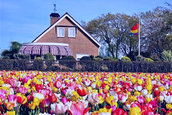 Aurora, 21 — Escort in Tynaarlo, Netherlands