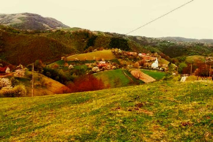 Aurora, 21 — Escort in Valea Glodului, Romania